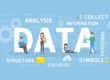 The Dzapasi Group: Data Management